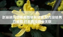 赵丽颖冯绍峰离婚早有征兆,女方没给男方戒指,已无直接商业关联