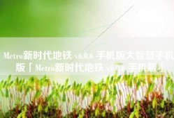 Metro新时代地铁 v6.0.6 手机版大智慧手机版「Metro新时代地铁 v6.0.6 手机版」