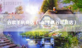 谷歌手机商店（oppo手机谷歌商店）