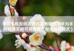 华为手机如何关闭开发者模式（华为手机如何关闭开发者模式和无障碍模式）