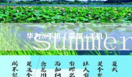 华为x6手机（荣耀x6手机）