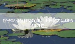 谷子经济与社交媒体，正在助力品牌告别内卷