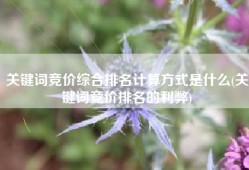 关键词竞价综合排名计算方式是什么(关键词竞价排名的利弊)