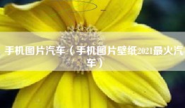 手机图片汽车（手机图片壁纸2021最火汽车）