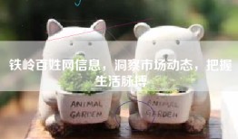 铁岭百姓网信息，洞察市场动态，把握生活脉搏