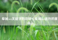 阜城seo关键字的攻略（阜城seo提升的重点）