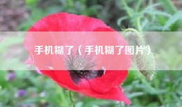 手机糊了（手机糊了图片）