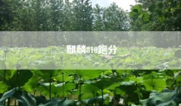 麒麟810跑分