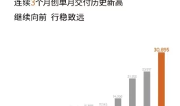 11月车市：比亚迪夺冠，新势力月销破万成新常态