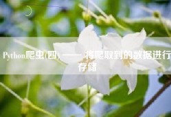 Python爬虫(四) —— 将爬取到的数据进行存储