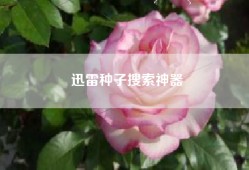迅雷种子搜索神器