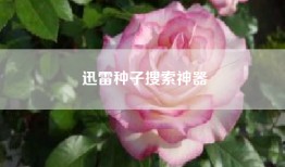 迅雷种子搜索神器