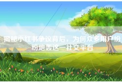 揭秘小红书争议背后，为何众多用户纷纷炮轰这一社交平台