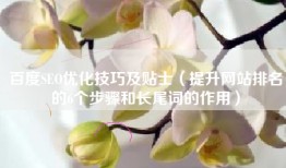 百度SEO优化技巧及贴士（提升网站排名的6个步骤和长尾词的作用）