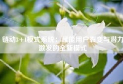 链动3+1模式系统：赋能用户裂变与潜力激发的全新模式