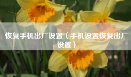 恢复手机出厂设置（手机设置恢复出厂设置）