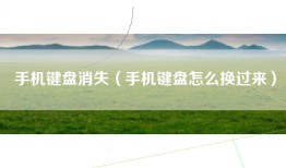 手机键盘消失（手机键盘怎么换过来）