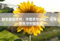 耐克面临逆风：市值蒸发805亿，连续三季失守中国市场