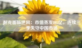 耐克面临逆风：市值蒸发805亿，连续三季失守中国市场