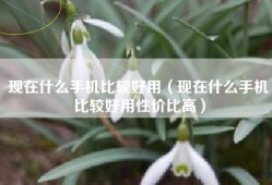现在什么手机比较好用（现在什么手机比较好用性价比高）