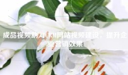 成品视频助力CRM网站视频建设，提升企业营销效果
