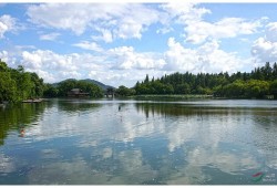 2023年度桃江县科学技术协会部门决算