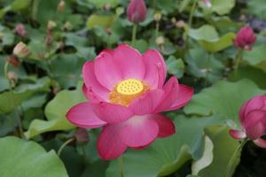 玛莎拉蒂报价，玛莎拉蒂多少钱