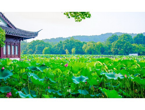 湖南衡阳房价最新消息深度解析