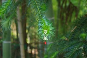 环评工程师在哪里报名？详解报名流程与注意事项