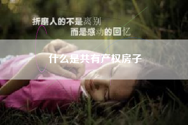 什么是共有产权房子