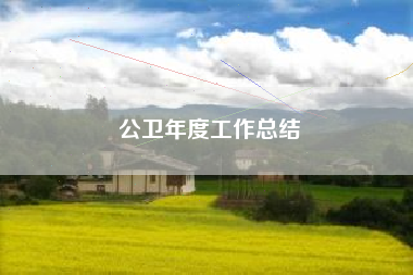 公卫年度工作总结