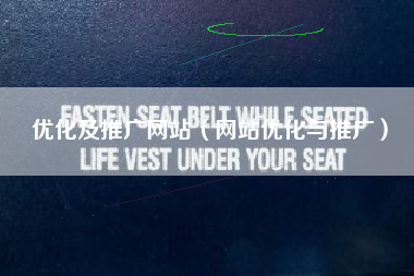 优化及推广网站（网站优化与推广）