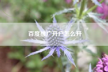 百度推广开户怎么开