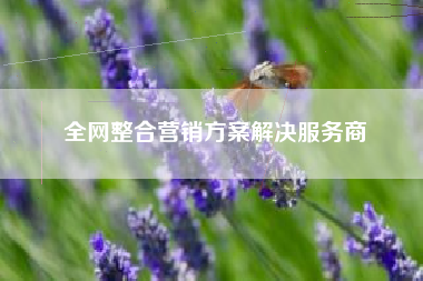 全网整合营销方案解决服务商