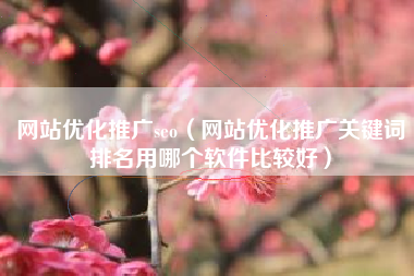 网站优化推广seo（网站优化推广关键词排名用哪个软件比较好）