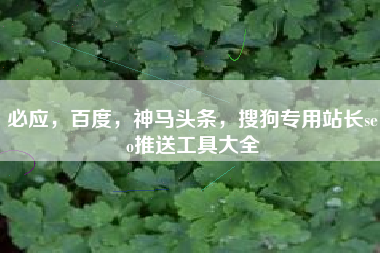 必应，百度，神马头条，搜狗专用站长seo推送工具大全
