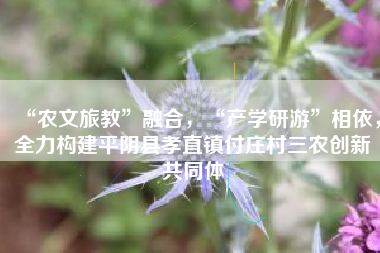 “农文旅教”融合，“产学研游”相依，全力构建平阴县孝直镇付庄村三农创新共同体