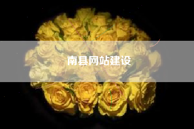 南县网站建设