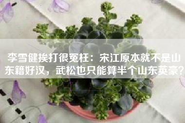 李雪健挨打很冤枉：宋江原本就不是山东籍好汉，武松也只能算半个山东英豪？