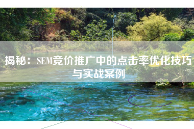 揭秘：SEM竞价推广中的点击率优化技巧与实战案例