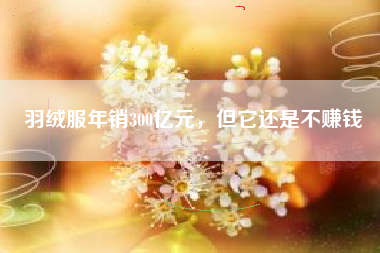 羽绒服年销300亿元，但它还是不赚钱