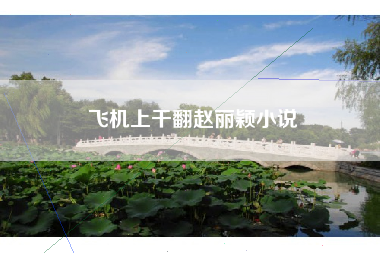 飞机上干翻赵丽颖小说 飞机上干翻赵丽颖小说