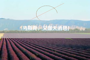 马斯克，又曝大消息！