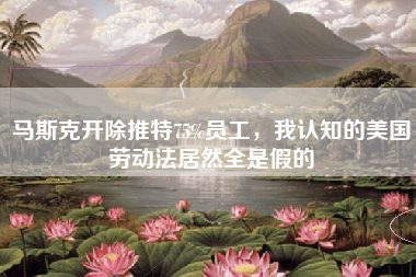 马斯克开除推特75%员工，我认知的美国劳动法居然全是假的