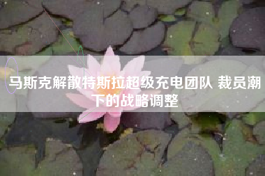 马斯克解散特斯拉超级充电团队 裁员潮下的战略调整
