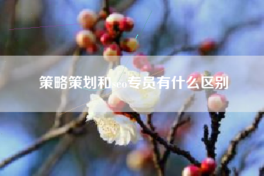 策略策划和seo专员有什么区别