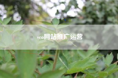 seo网站推广运营