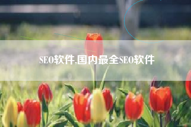 SEO软件,国内最全SEO软件