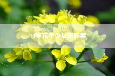 15岁花季少女失踪案