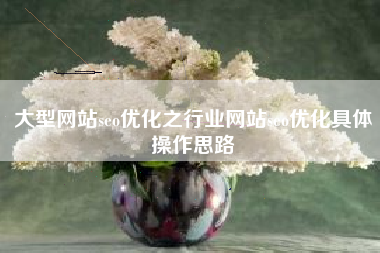 大型网站seo优化之行业网站seo优化具体操作思路